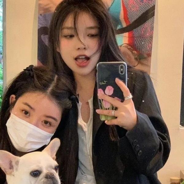 龙虎干戈